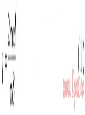 真空管太陽能集熱系統(tǒng)溫度場、速度場模擬