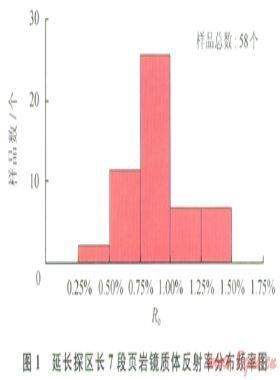 陸相頁(yè)巖氣的地質(zhì)研究進(jìn)展及亟待解決的問題