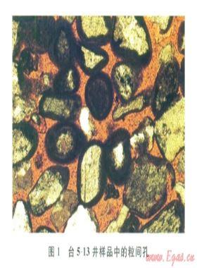 柴達(dá)木盆地臺南氣田低阻氣藏成因機(jī)理及測井評價(jià)