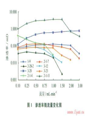 川西地區(qū)九龍山構(gòu)造礫巖儲(chǔ)層敏感性實(shí)驗(yàn)分析