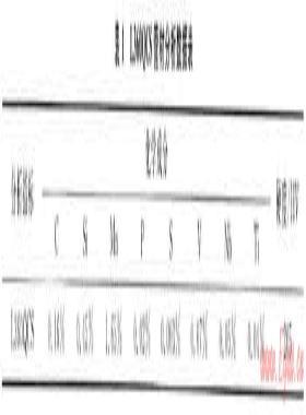 普光氣田集輸管材腐蝕評(píng)價(jià)及緩蝕劑加藥工藝優(yōu)化